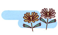 白と黄色の菊の花のイラスト
