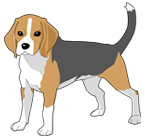 ビーグル犬のイラスト