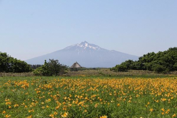 べんせ湿原の写真