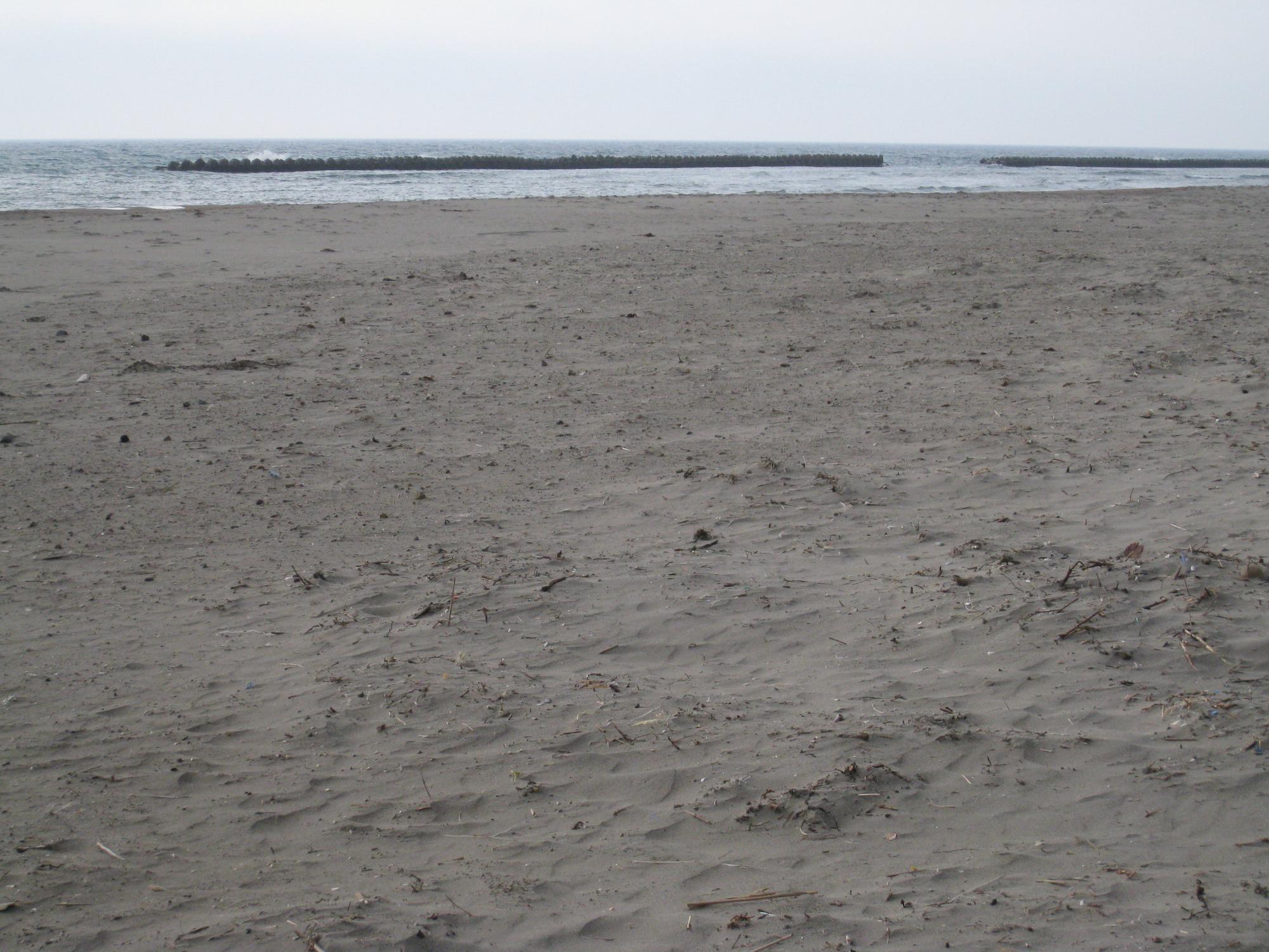 注射器が漂着した砂浜の写真