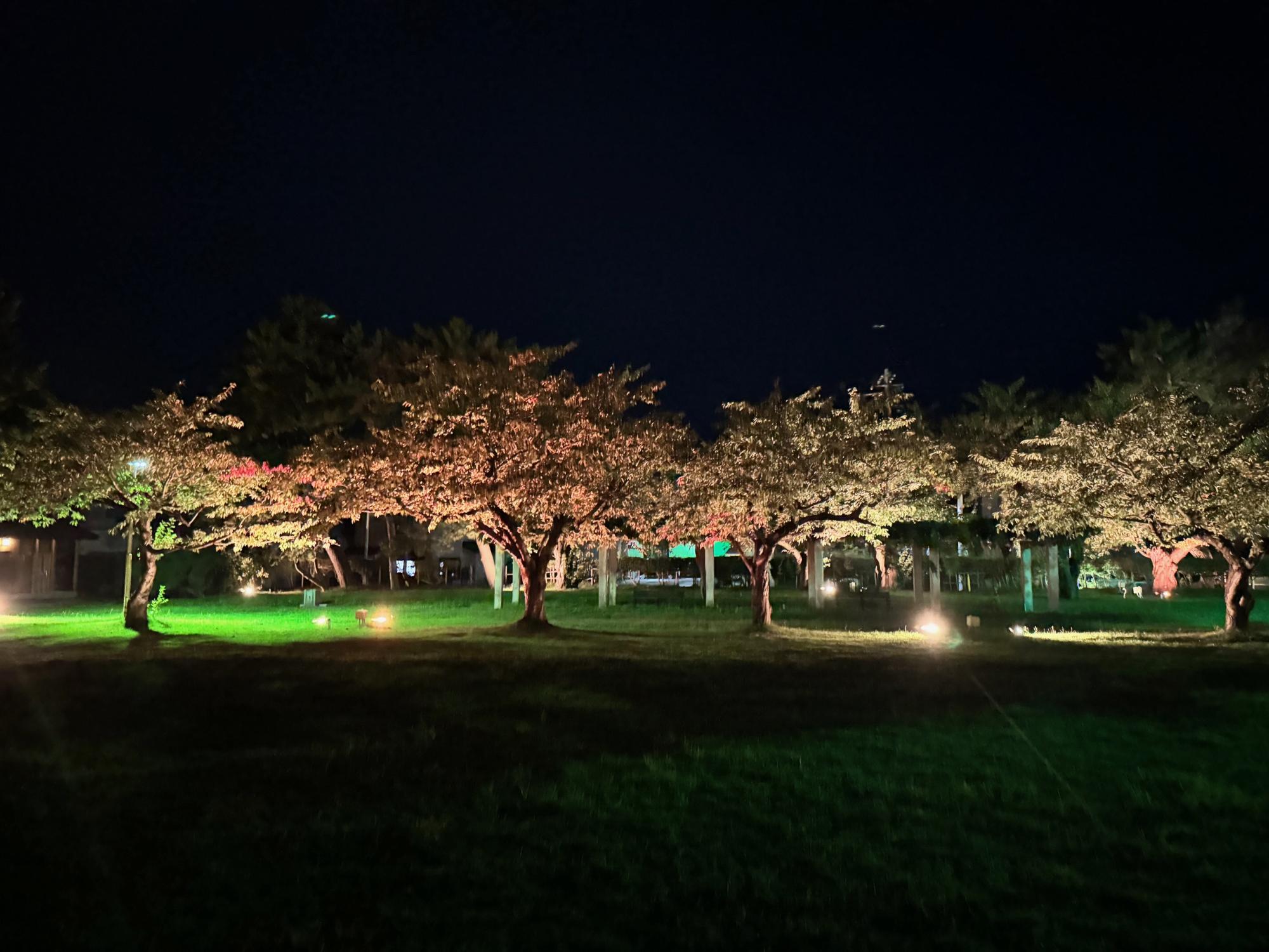 銀杏が丘公園