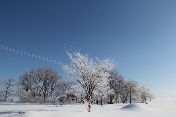 冬の稲垣町の写真