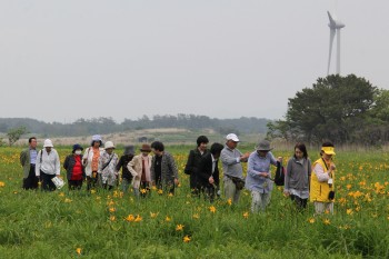 ベンセ湿原を散策する観光客の写真