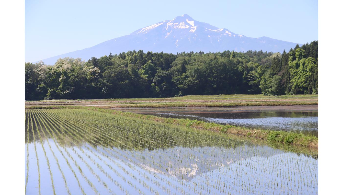 逆さ岩木山
