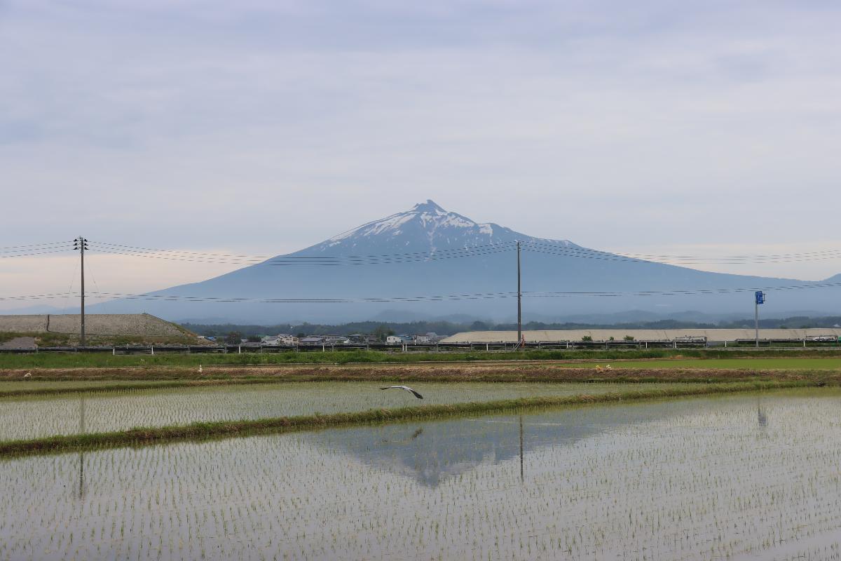 逆さ岩木山