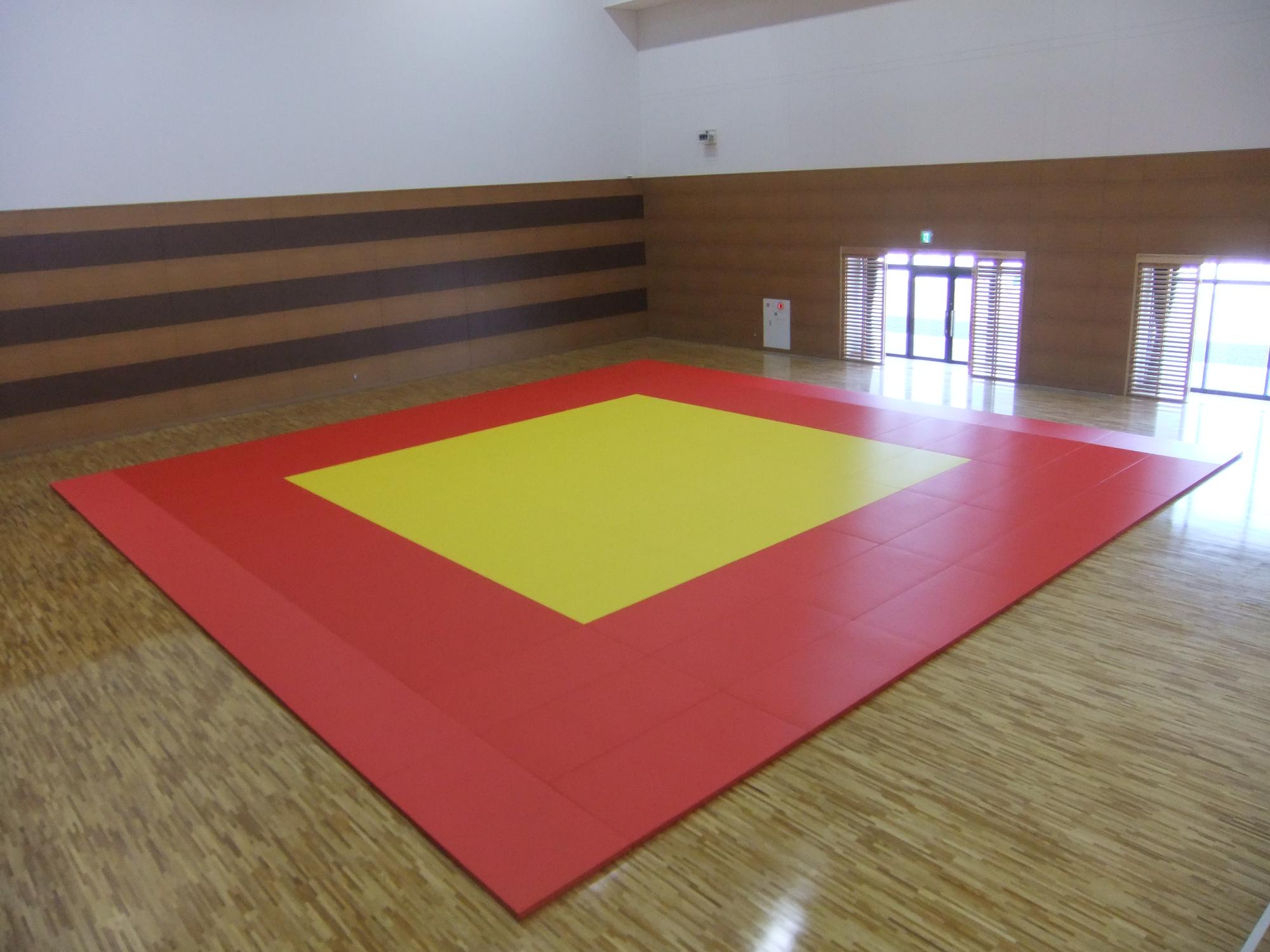 畳128枚一面分の柔道畳